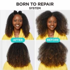 CAROL'S DAUGHTER: BORN TO REPAIR REVIVING HAIR OIL WITH SHEA BUTTER 4.2oz -Wig Care Shop carols hair oil carol s daughter born to repair reviving hair oil with shea butter 4 2oz 31368747155542