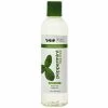 EDEN Bodyworks: Peppermint Tea Tree Shampoo 8oz -Wig Care Shop eden bodyworks haircare eden bodyworks peppermint tea tree shampoo 8oz 556785139728