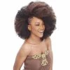 Janet Collection: 2X Afro Kinky Bulk 24" - FINAL SALE -Wig Care Shop janet collection crochet hair janet collection 2x afro kinky bulk 24 15339644125270