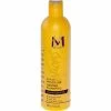 Motions: Active Moisture Lavish Shampoo 1 Motions: Active Moisture Lavish Shampoo -Wig Care Shop motions hair care motions active moisture lavish shampoo 16017713201238